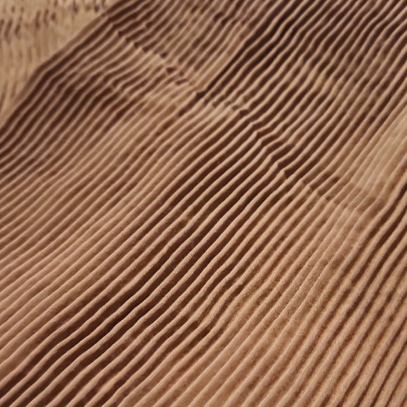 Ribbed Mustard Pantsuit - Picture 7 of 10